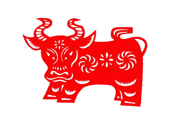 属牛什么月生好_属牛的几月出生好_生肖牛的月份出生最好