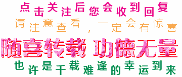 荆棘丛生打一正确生肖_荆棘丛生中的生是什么意思_十二生肖荆棘指的是什么动物
