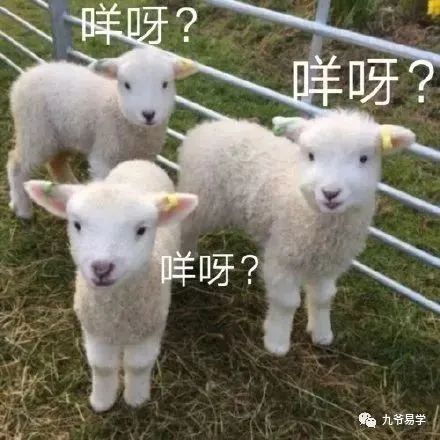 南方批八字 破解_南方批八字手机破解版_南方八字排盘手机破解版