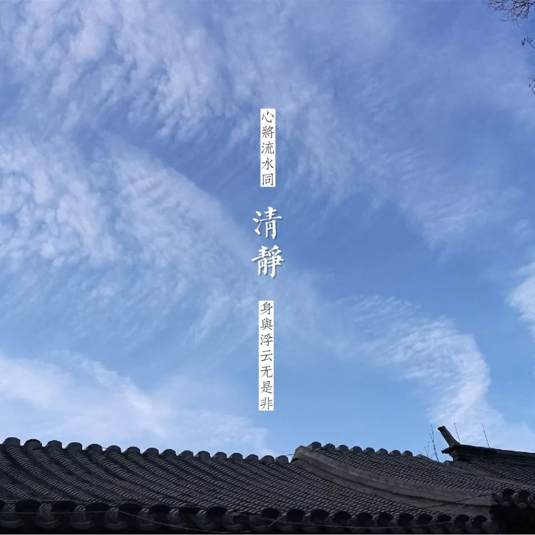 二七合三起一六是什么生肖_生肖二七合起是什么动物_二七合数是什么生肖