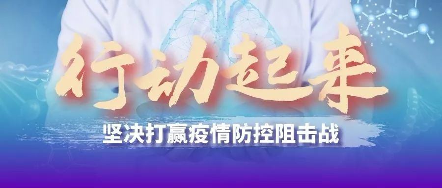 寿宁县政府网公开_寿宁县人民政府_寿宁县政府办