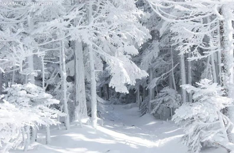 梦见冰天雪地预示什么_梦见冰天雪地_梦冰天雪地找不到出路