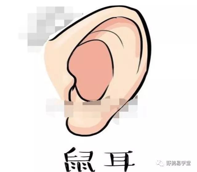 青面獠牙猜生肖_青面獠牙的动物_青面獠牙是指什么生肖