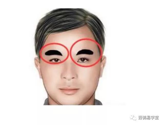 青面獠牙猜生肖_青面獠牙的动物_青面獠牙是指什么生肖