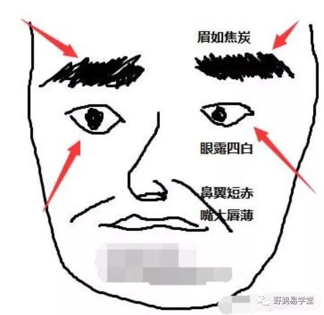 青面獠牙的动物_青面獠牙是指什么生肖_青面獠牙猜生肖
