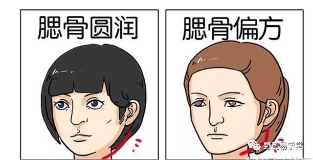 青面獠牙猜生肖_青面獠牙的动物_青面獠牙是指什么生肖