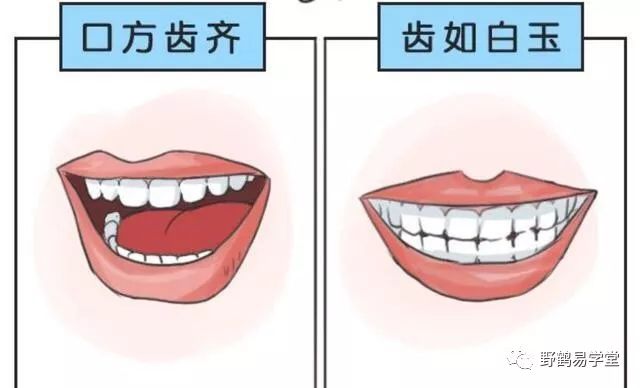 青面獠牙猜生肖_青面獠牙是指什么生肖_青面獠牙的动物
