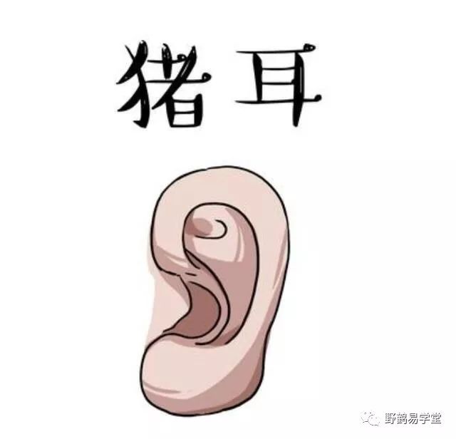 青面獠牙猜生肖_青面獠牙是指什么生肖_青面獠牙的动物