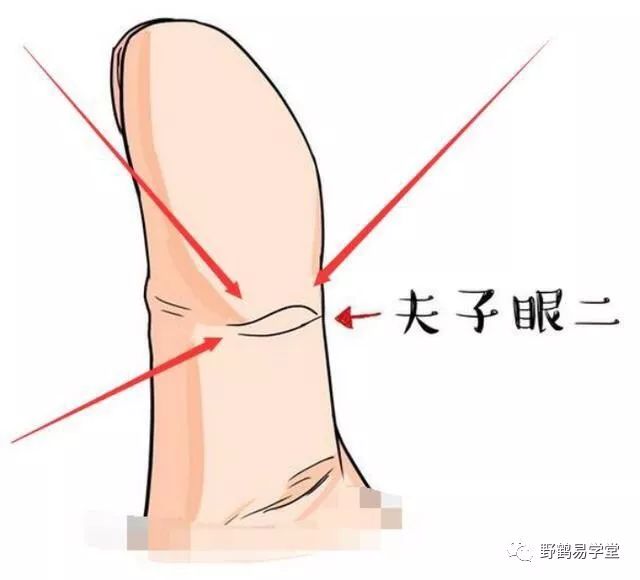 青面獠牙是指什么生肖_青面獠牙的动物_青面獠牙猜生肖