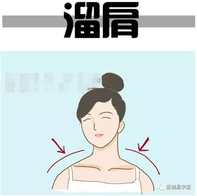 青面獠牙猜生肖_青面獠牙是指什么生肖_青面獠牙的动物