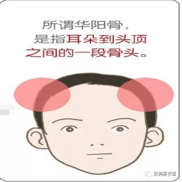 青面獠牙猜生肖_青面獠牙是指什么生肖_青面獠牙的动物