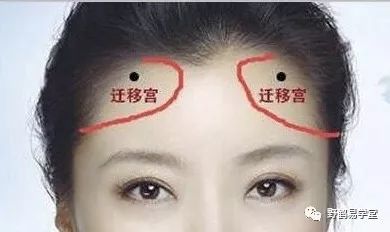 青面獠牙猜生肖_青面獠牙的动物_青面獠牙是指什么生肖