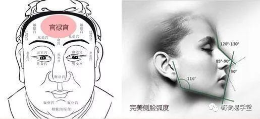 青面獠牙猜生肖_青面獠牙的动物_青面獠牙是指什么生肖