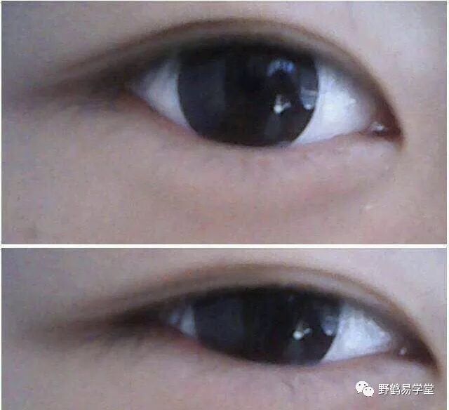 青面獠牙猜生肖_青面獠牙是指什么生肖_青面獠牙的动物