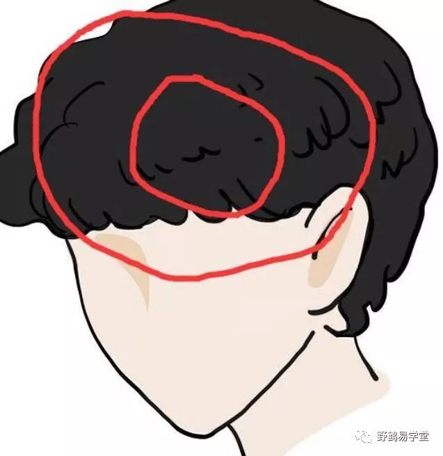 青面獠牙的动物_青面獠牙猜生肖_青面獠牙是指什么生肖