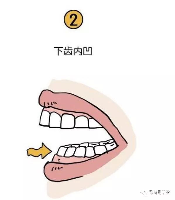 青面獠牙的动物_青面獠牙猜生肖_青面獠牙是指什么生肖