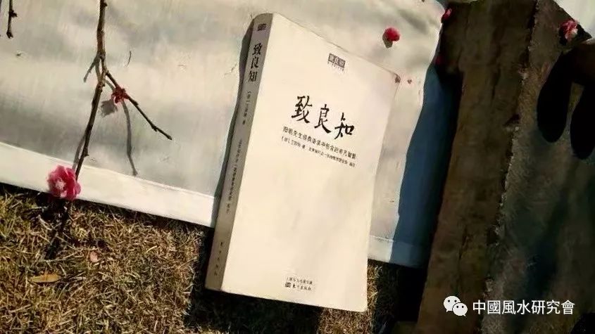 生肖青獠牙面指是什么生肖_青面獠牙是指什么生肖_青獠牙面打一成语