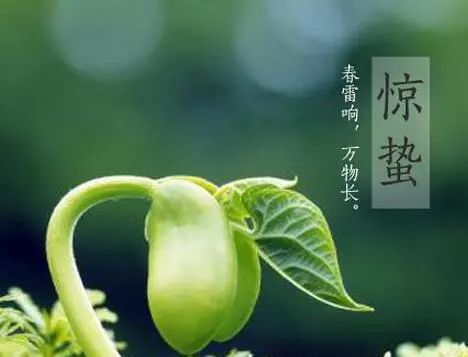 生肖青獠牙面指是什么生肖_青面獠牙是指什么生肖_青獠牙面打一成语