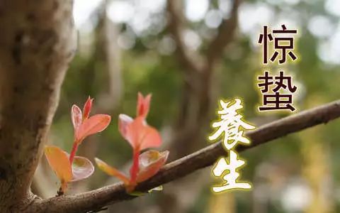 青獠牙面打一成语_青面獠牙是指什么生肖_生肖青獠牙面指是什么生肖