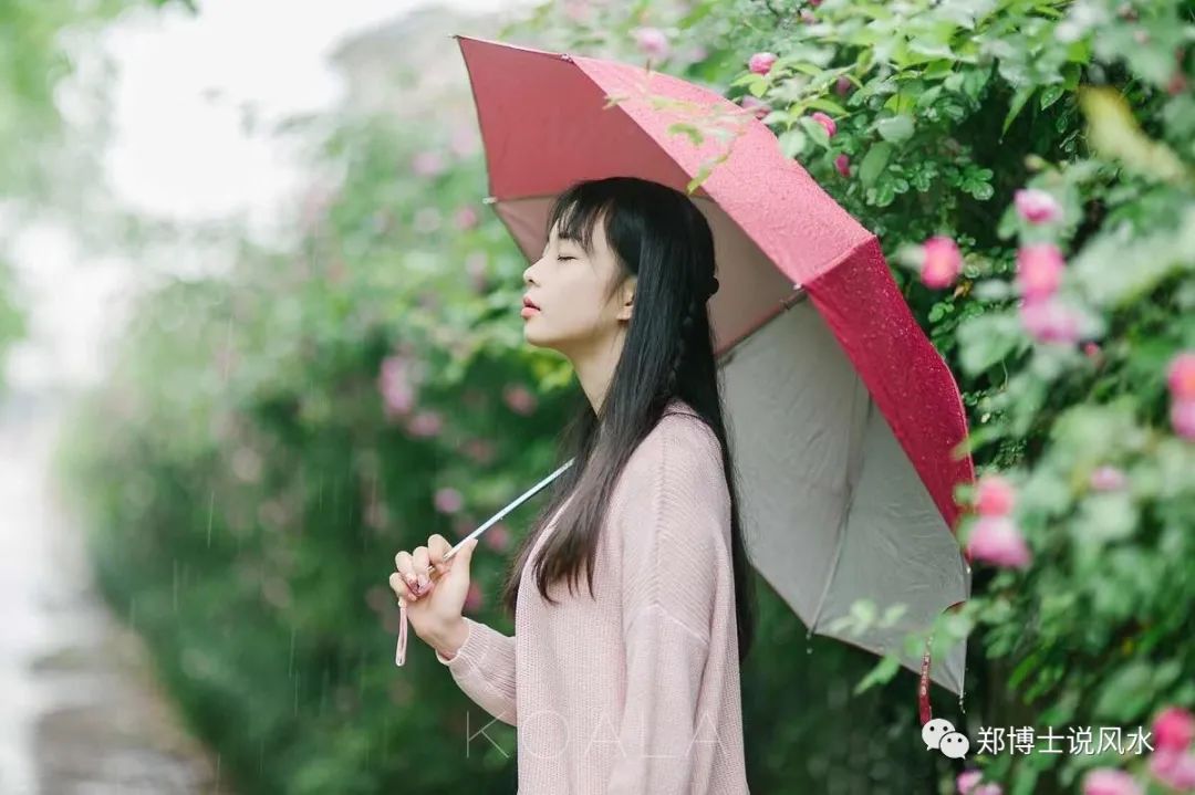 十二生肖中谁是英雄豪杰_英雄豪杰指什么生肖_生肖英雄豪杰指什么动物
