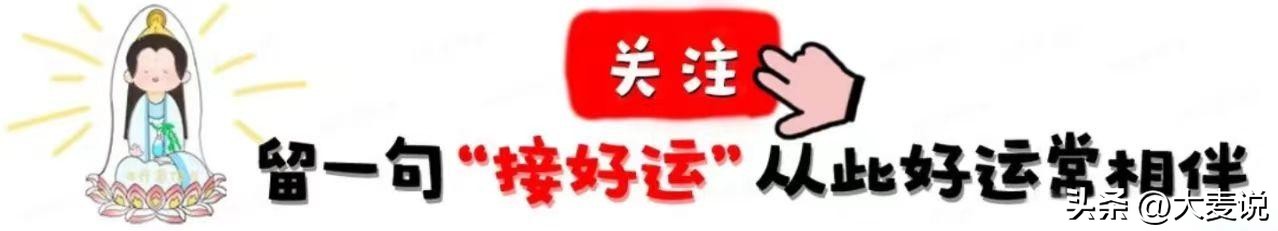 纸上谈兵败军之将是什么生肖_纸上谈兵打一个生肖_什么生肖纸上谈兵