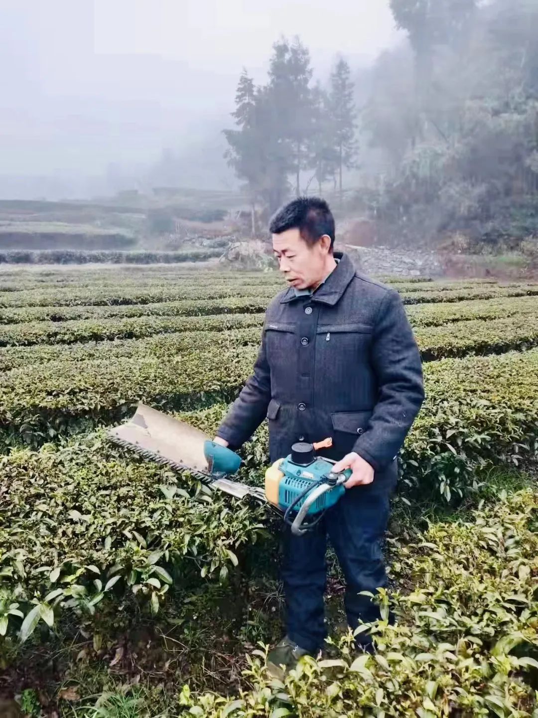 硒都网_硒都网_硒都网