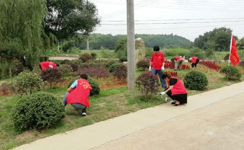 农村远程教育网_农村远程教育资源网_农村远程教育官网