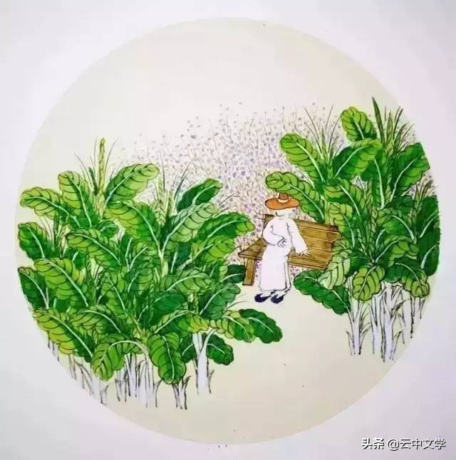 明眸皓齿什么动物_明眸皓齿是什么生肖_生肖明眸皓齿是什么意思