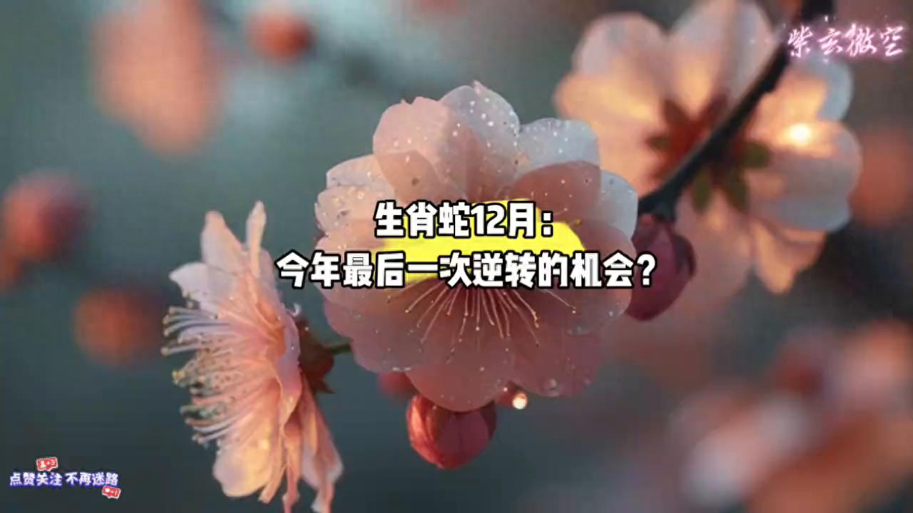 断什么生肖_时断时续是成语吗_时断时续是什么生肖