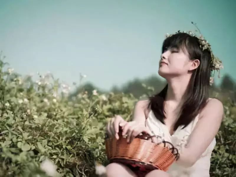 藕断丝连是什么动物_藕断丝连是什么生肖_藕断丝连是什么数字