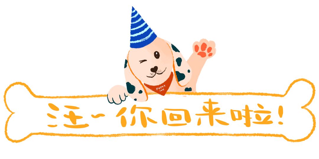 以狗取名字_狗起名字_狗的名字能起什么