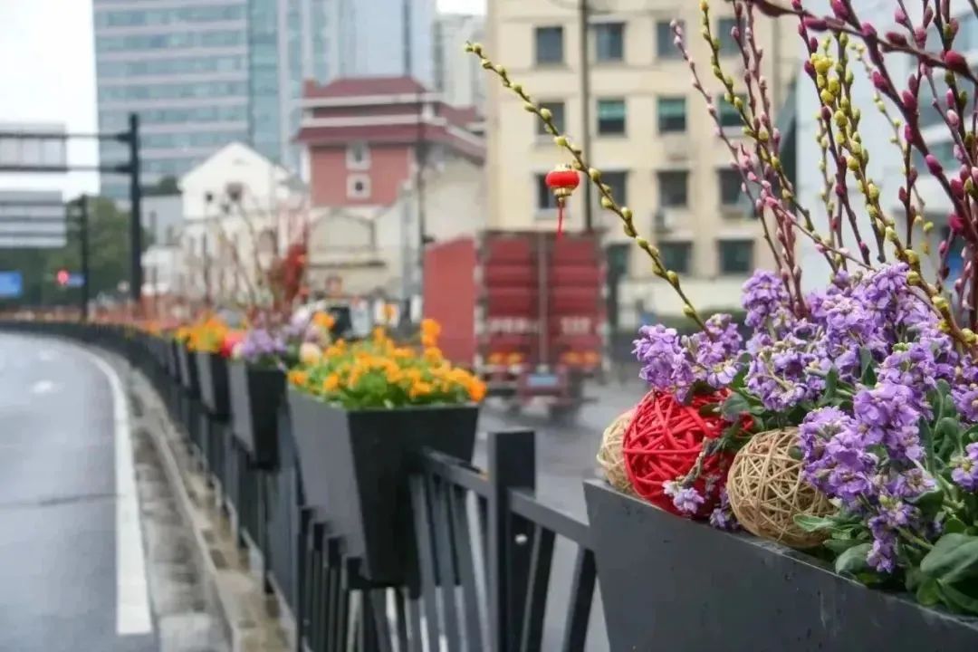 张灯结彩打动物_张灯结彩打一数_张灯结彩打一生肖