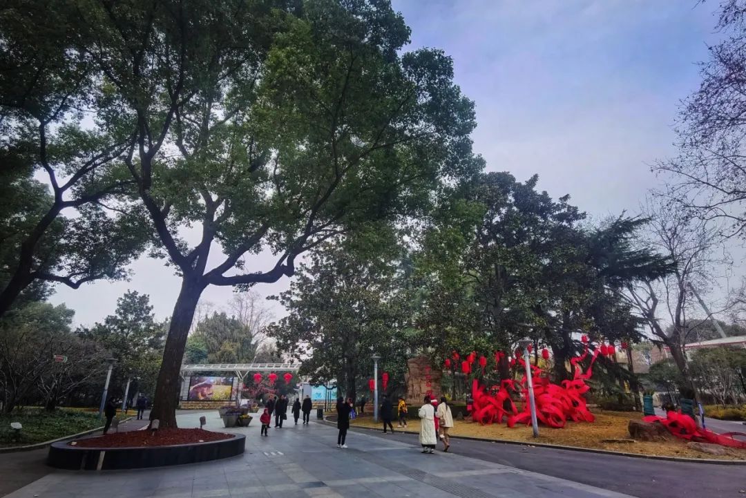 张灯结彩打一生肖_张灯结彩打一数_张灯结彩打动物