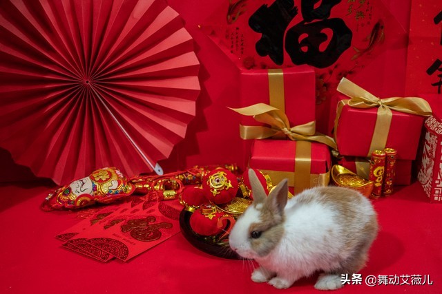 生肖属年份_2020是什么生肖属年_1963年属什么生肖