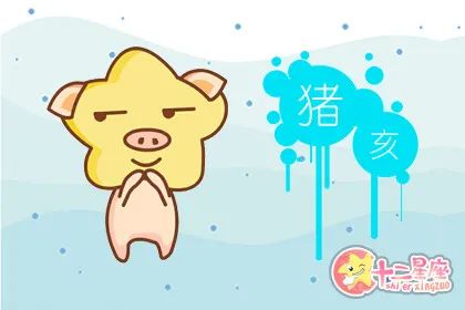95年属啥_属年龄表_属年的今年多大