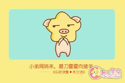 属年的今年多大_95年属啥_属年龄表