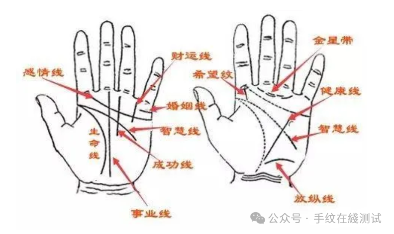 算命手相看左手还是右手_看手相算命_算命算手相