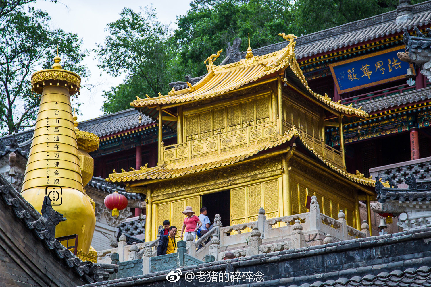 持诵文殊八字真言的感应_文殊菩萨的八字真言咒的作用_文殊菩萨八字真言