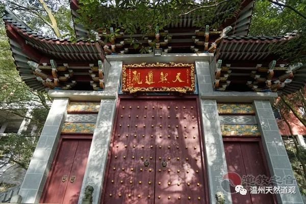 神通广大是什么生肖?_神通广大的动物代表什么生肖_神通广大猜生肖