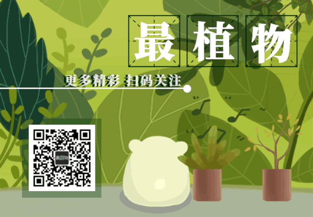 百度识图在线识别_百度识图功能识图_百度识图在线识别知乎