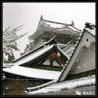什么生肖声东击西_声东击西是指哪一生肖最好呢_声东击西指什么生肖
