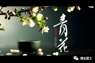声东击西指什么生肖_什么生肖声东击西_声东击西是指哪一生肖最好呢