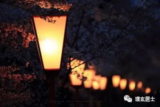 什么生肖声东击西_声东击西是指哪一生肖最好呢_声东击西指什么生肖