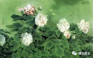 声东击西指什么生肖_什么生肖声东击西_声东击西是指哪一生肖最好呢