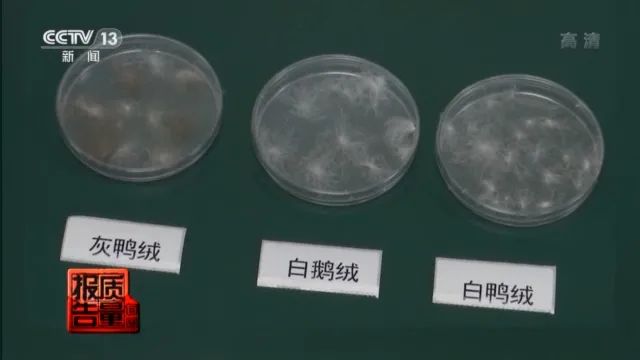 9621开头的是什么电话_96年属什么的生肖_96