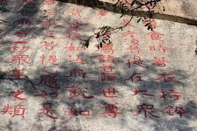 中国书法网官网大型门户网站_中国书法网书法欣赏_中国书法网