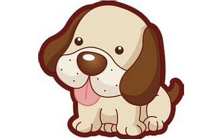 属狗的今年多大了_属相狗多大了今年_今年属狗多大多数