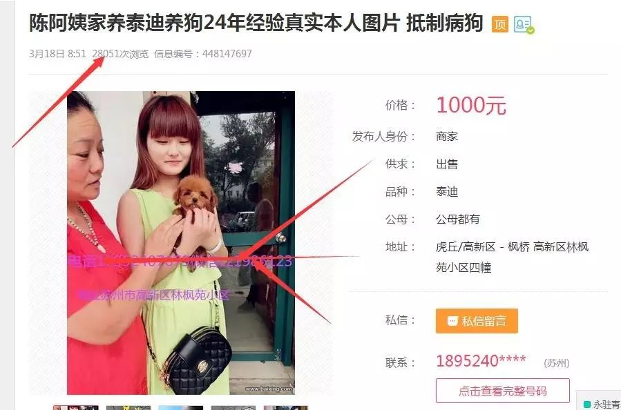 易登宝座_易登网_喜登露易货号钱包