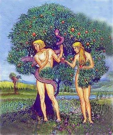 属蛇今年运程_今年属蛇人的运程_属蛇今年运势查询第一星座网