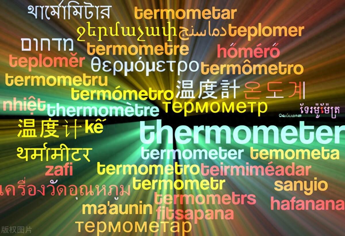 weir中文网_中文网文在外国_中文网文学